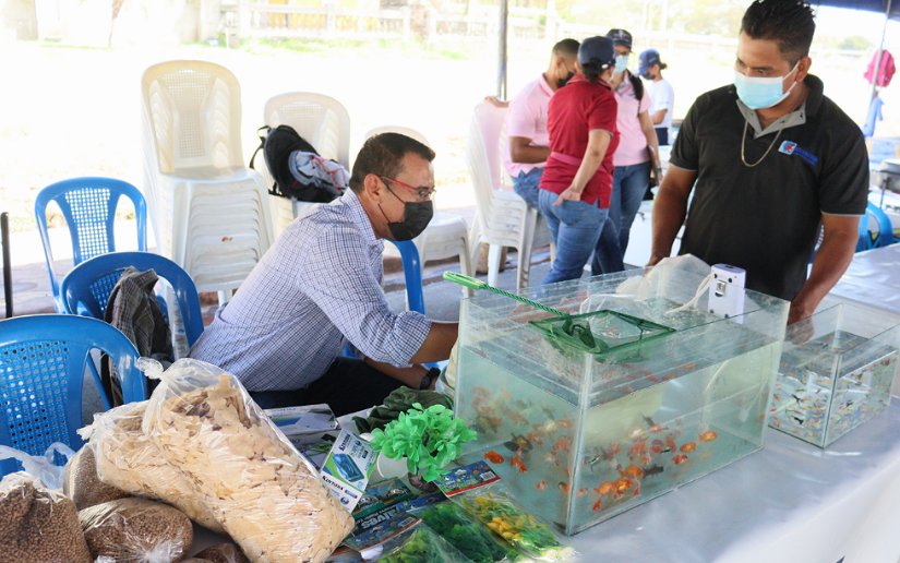 FERIA